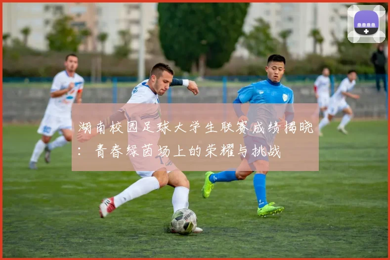 湖南校园足球大学生联赛成绩揭晓：青春绿茵场上的荣耀与挑战